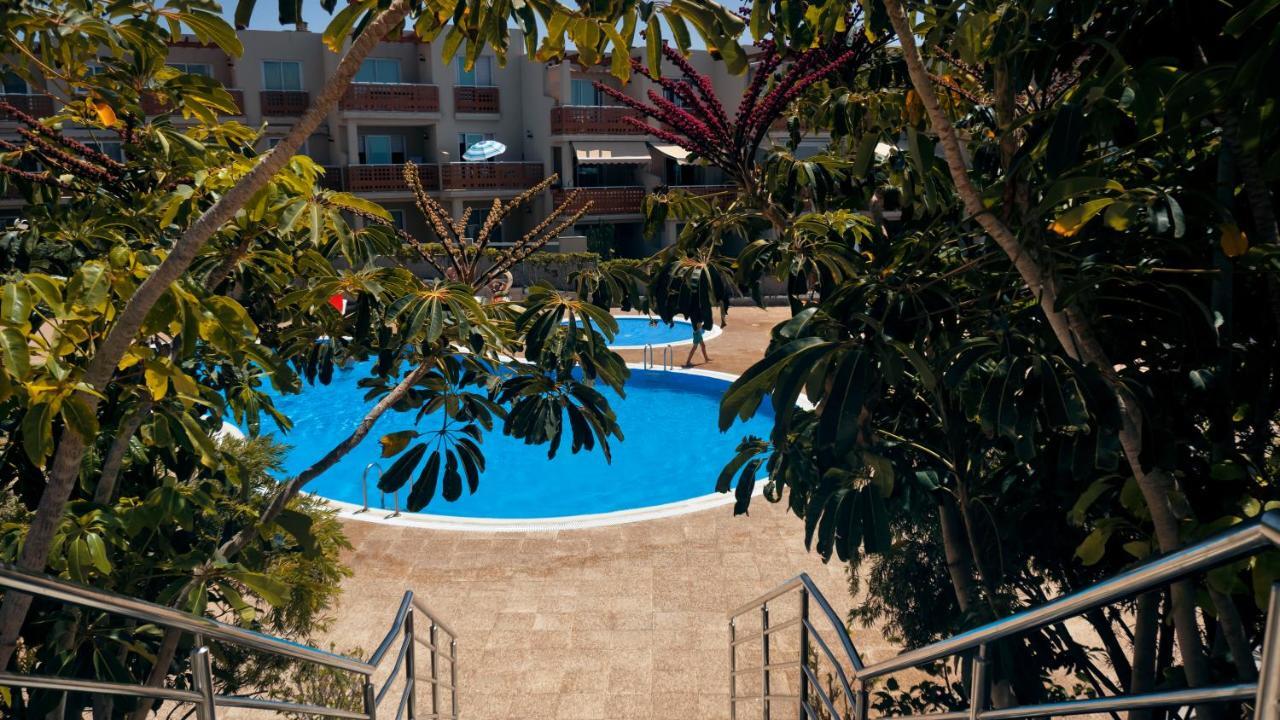 Apartment Okeanos Fantastic 2 Bedrooms Vr-pn El Médano